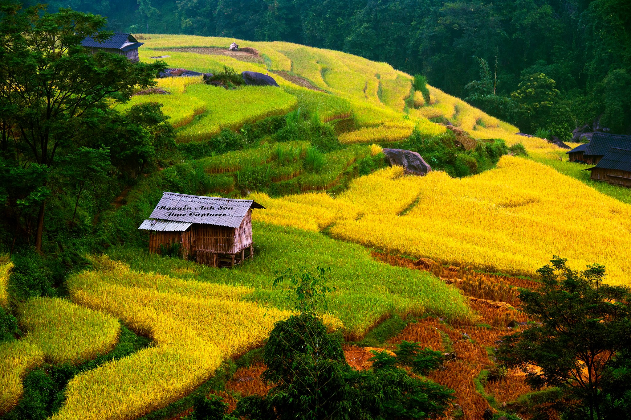 Du Lich Ha Giang Mua Lua Chin 3