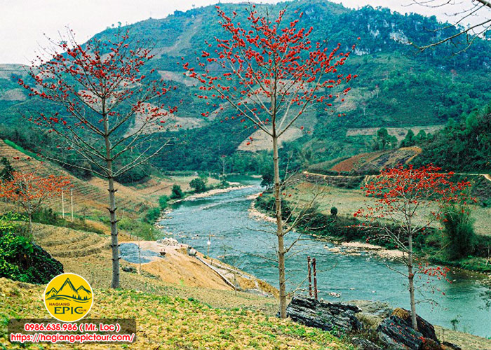 Tour Hà Giang 5 Ngày 4 Đêm
