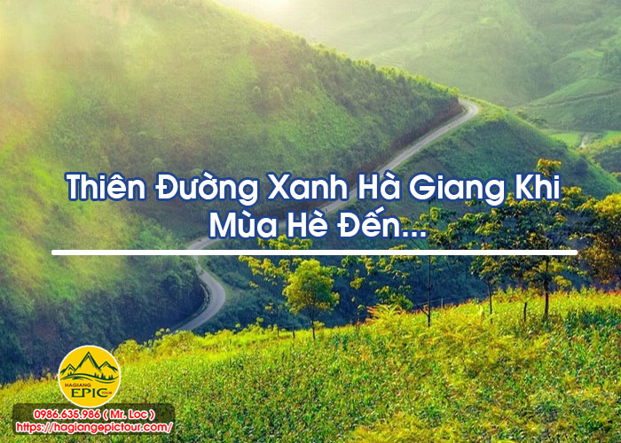 Thiên Đường Xanh Hà Giang Khi Mùa Hè Đến