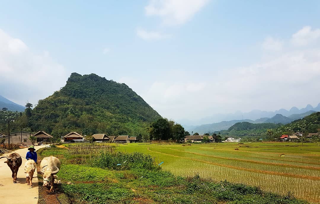 Thon Tha Village